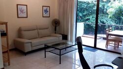 Sommerville Park (D10), Condominium #482286411